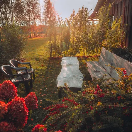 W Gorach Międzylesie