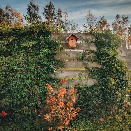 W Gorach Mittelwalde