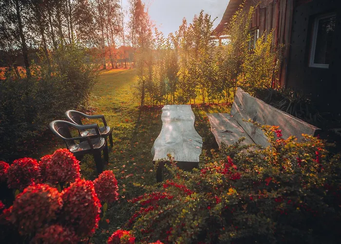 W Gorach Międzylesie