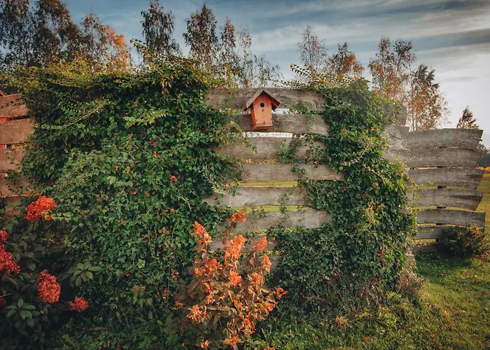 W Gorach Międzylesie